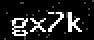 verify code