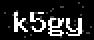 verify code