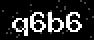 verify code
