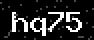verify code