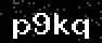 verify code