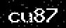 verify code