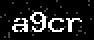 verify code