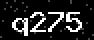 verify code